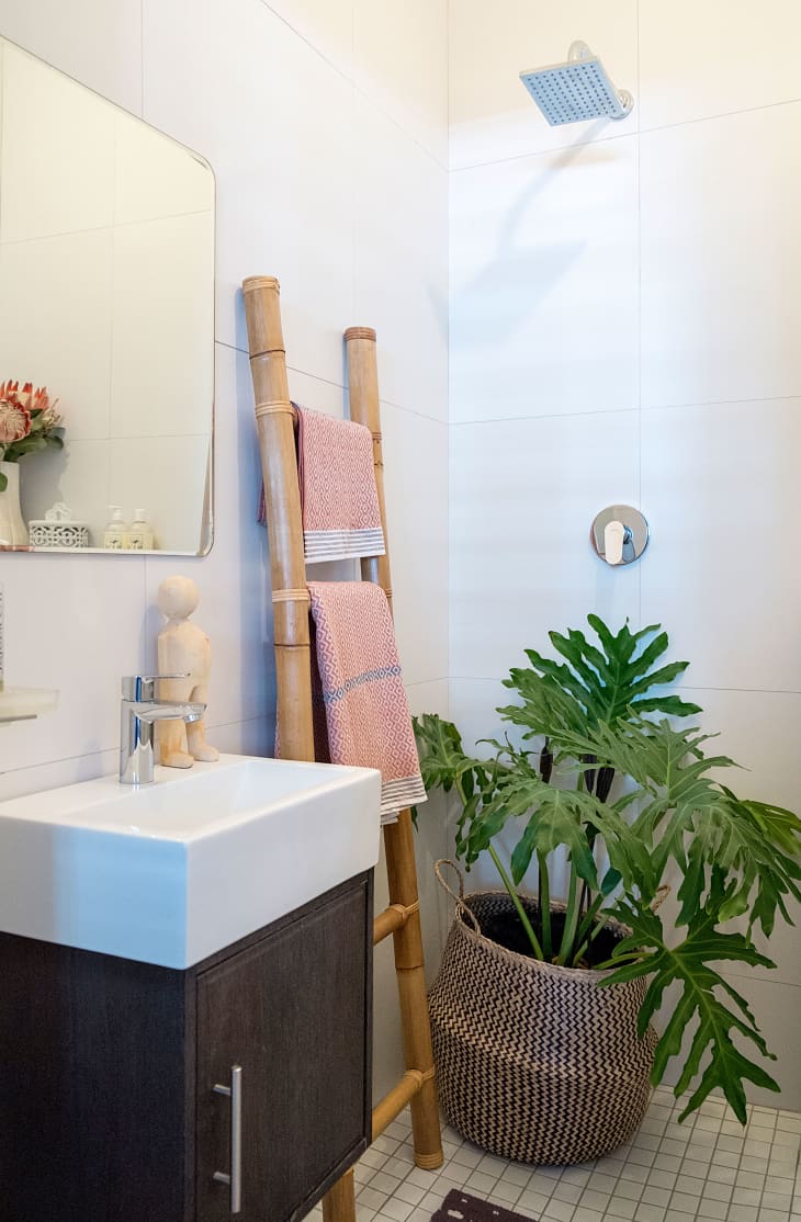 Best Plants for a Windowless Bathroom Apartment Therapy